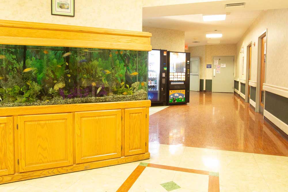Large aquarium filled with fish in hallway at Downtown Brooklyn Nursing and Rehabilitation Center.