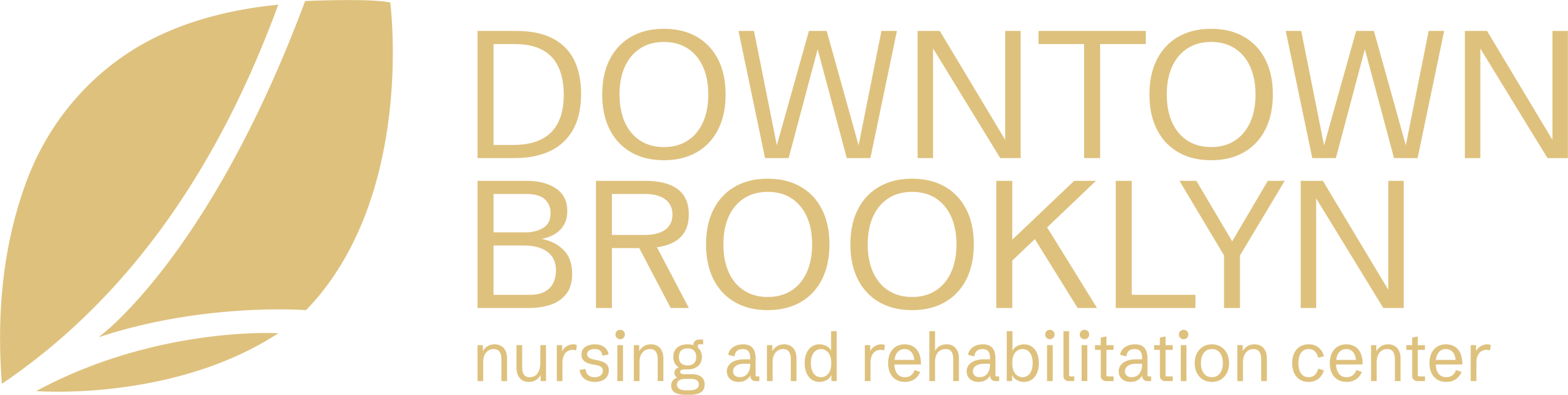 Downtown Brooklyn Nursing and Rehabilitation Center